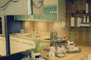 cuisine-pmr