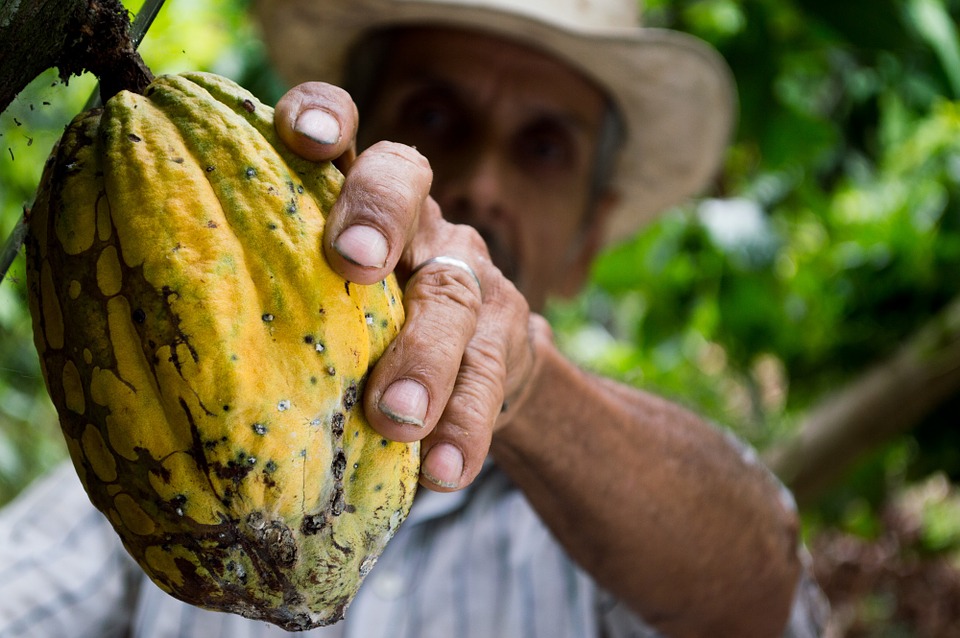 Voyage en Colombie : bon à savoir