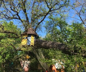 Grimpez aux arbres tel un aventurier dans le bois des lutins !