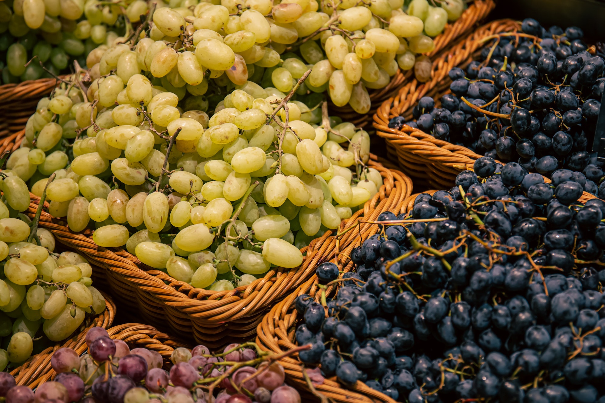 The Ultimate Guide to French Grape Varieties: From Chardonnay to Syrah