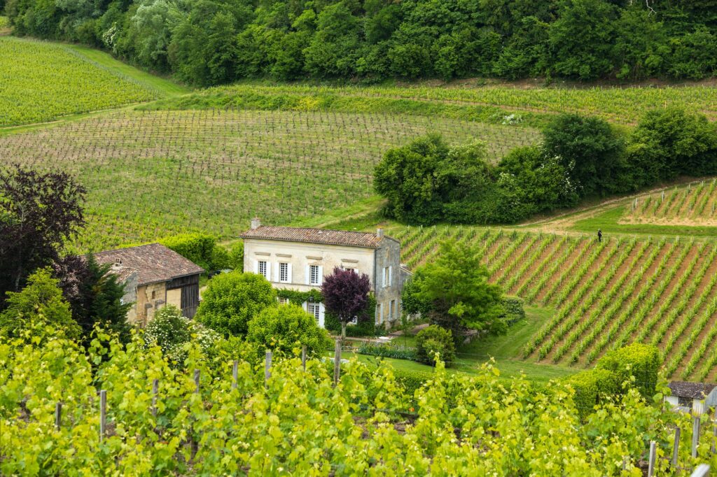 House and vineyard in the Bordeaux region near St. Emilion