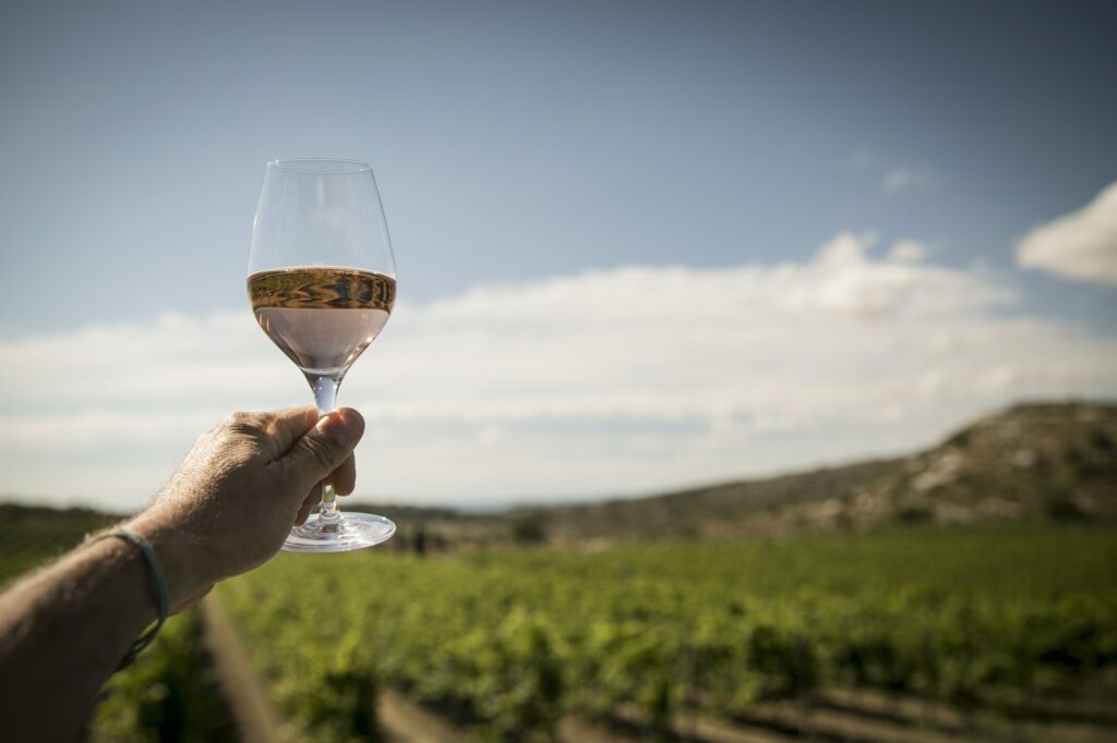 Mature man holding up wine glass, vineyard in background, South of France