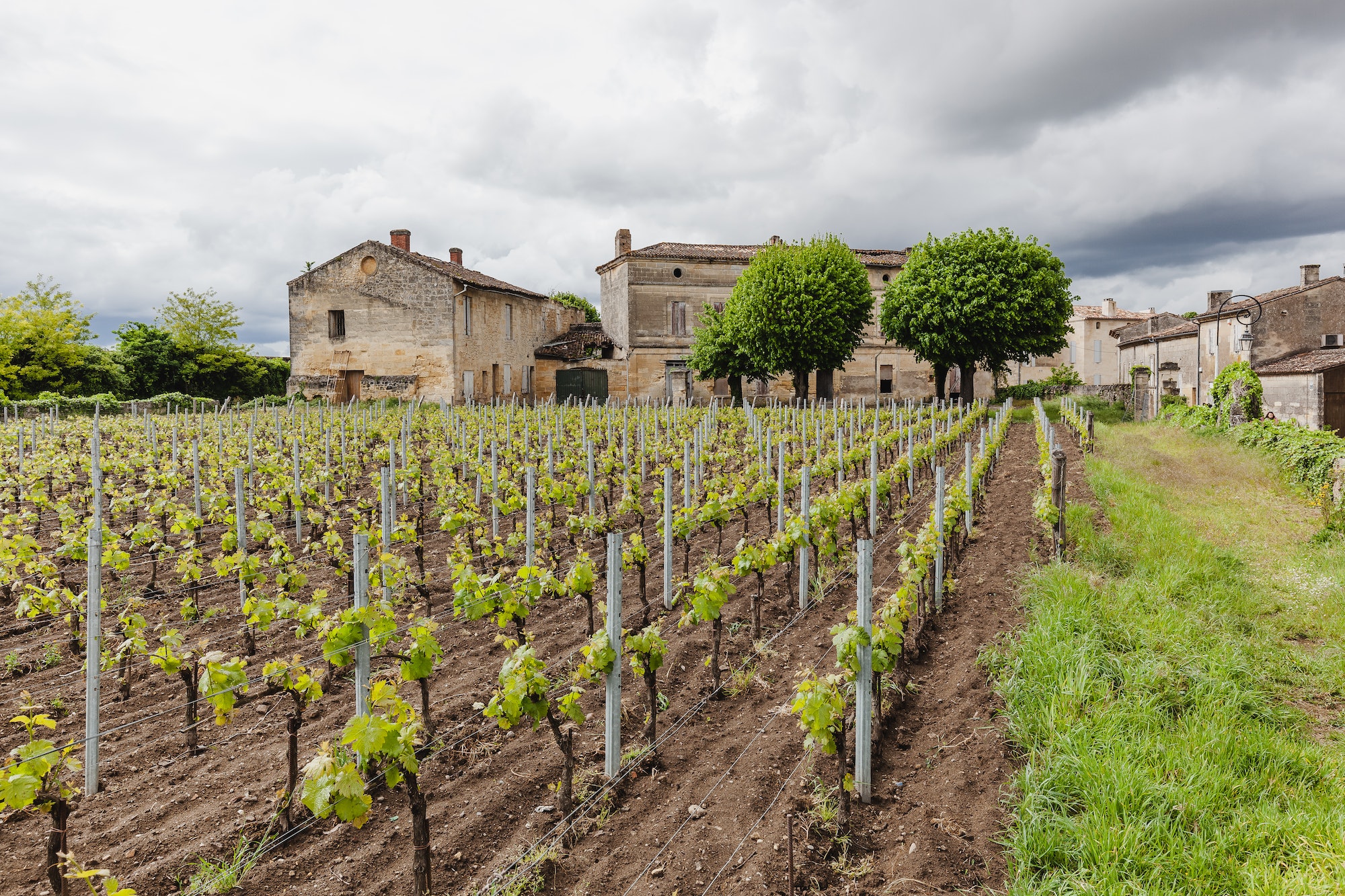 Discover France’s Top Wine Regions: A Beginner’s Guide
