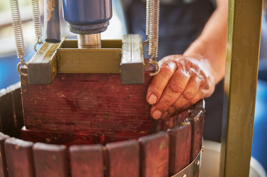 Wine press being used in the process of wine-making