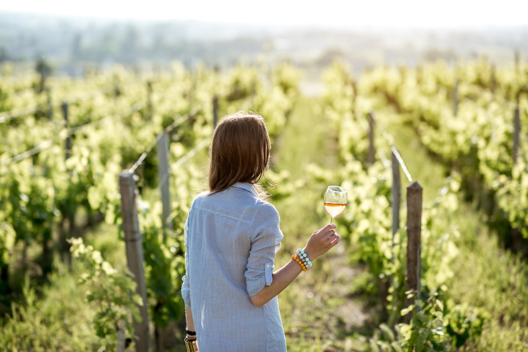 Terroir as an Important Aspect in French Winemaking