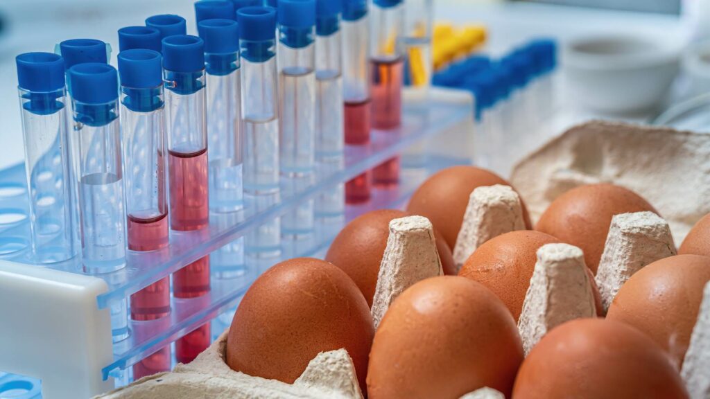 A salmonellosis test for eggs
