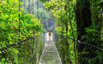 Le tourisme durable au Costa Rica : un voyage eco-responsable