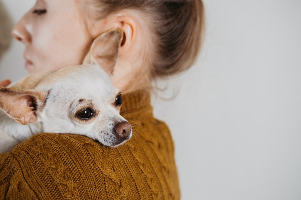 Adopter un animal comprend des responsabilités