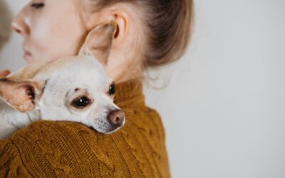 Adopter un animal de compagnie : ce que vous devez savoir avant de sauter le pas