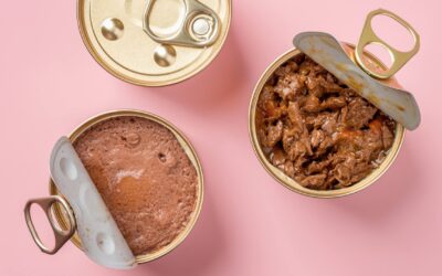 Les erreurs à éviter lors de l’alimentation de votre chat