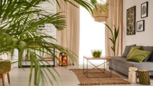 plante déco intérieure