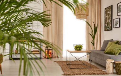Comment intégrer des plantes dans votre décoration intérieure ?