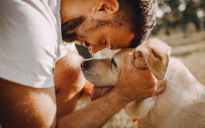 Les 7 races de chiens idéales pour les familles avec enfants